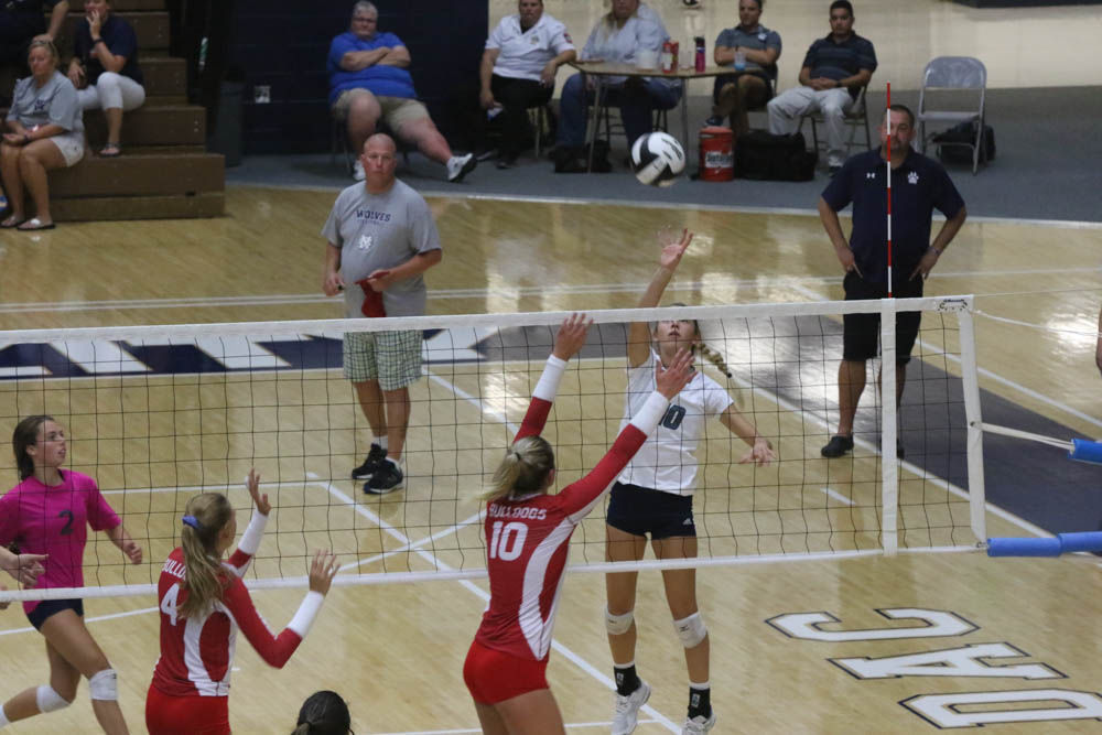 Gallery: Girls volleyball - Crown Point at Michigan City